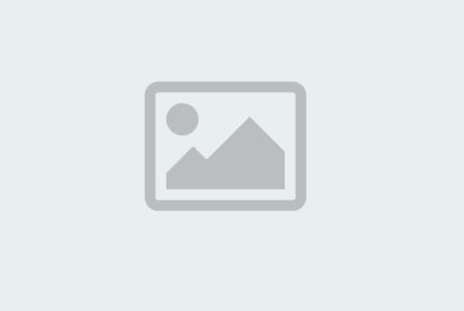 undefined illustration